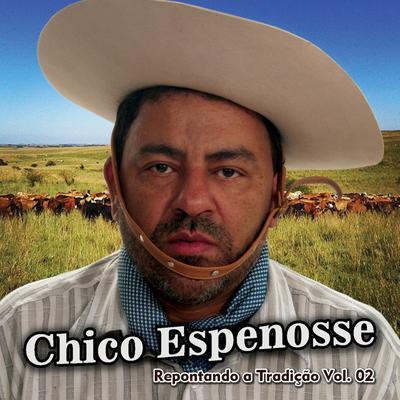 Campeando Achego By Xirú Missioneiro, Chico Espenosse's cover