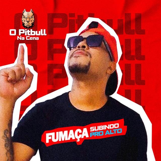 O PITBULL NA CENA's avatar image