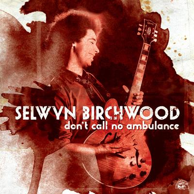 Brown Paper Bag By Selwyn Birchwood's cover