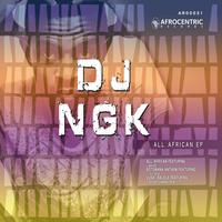 DJ NGK's avatar cover