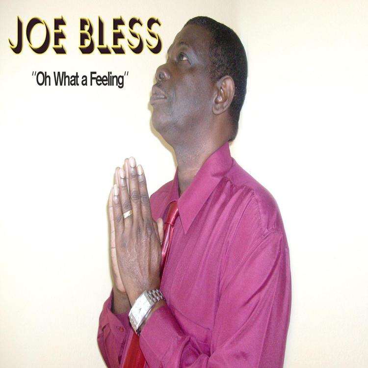 Joe Bless's avatar image