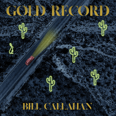 Pigeons By Bill Callahan's cover