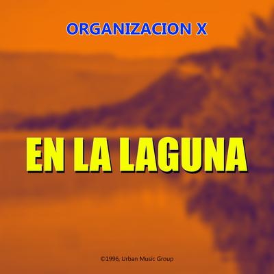 Organización X's cover