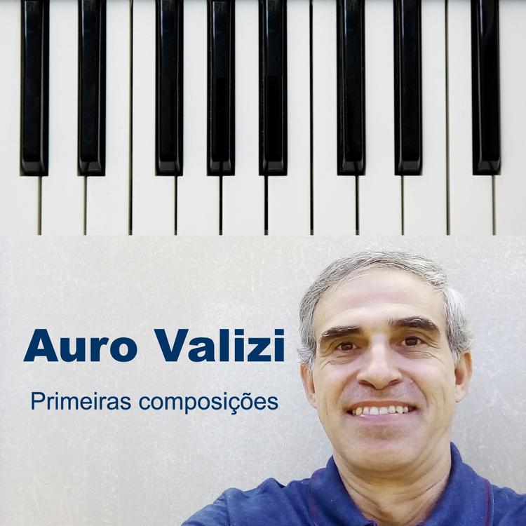 Auro Valizi's avatar image
