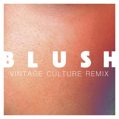 Blush (Vintage Culture Remix) By Elekfantz, Vintage Culture's cover