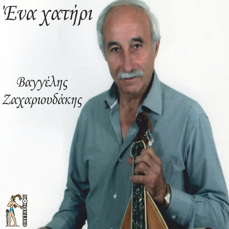 Vaggelis Zaxarioudakis's avatar image
