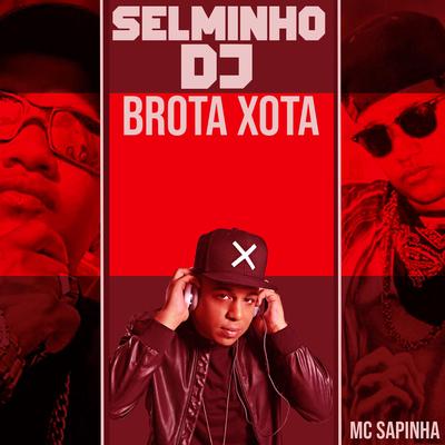 Brota Xota (Remix) By Selminho DJ, Mc Sapinha's cover