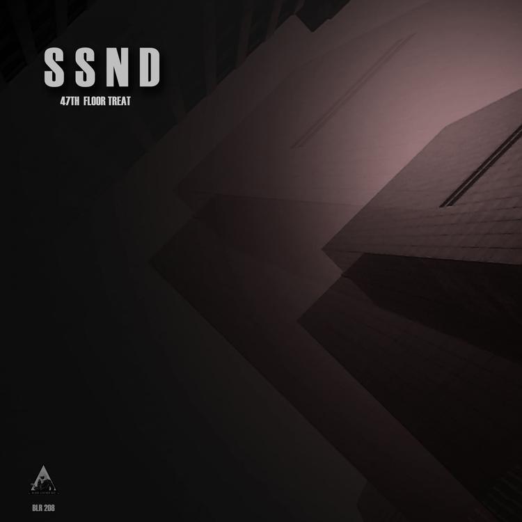 SSND's avatar image