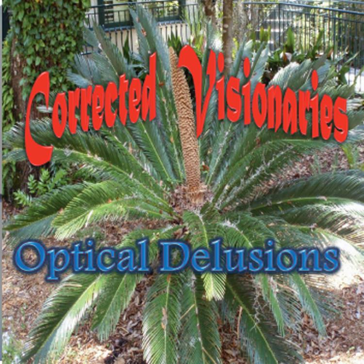 Corrected Visionaries's avatar image