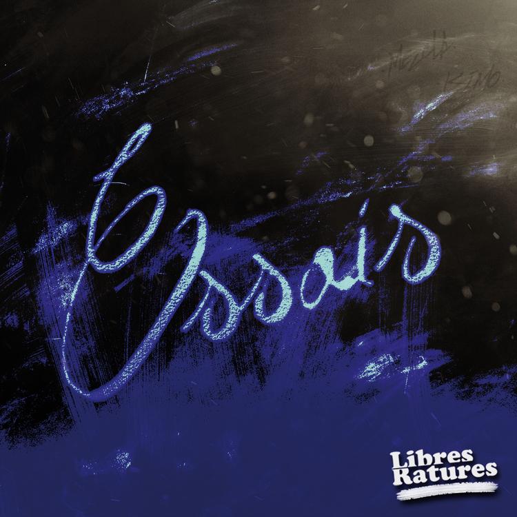 Libres Ratures's avatar image