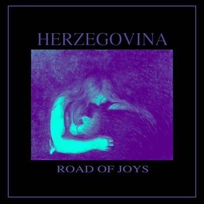 Road of Joys By Herzegovina's cover