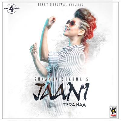 Jaani Tera Naa's cover