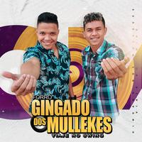 Forró Gingado dos Mullekes's avatar cover