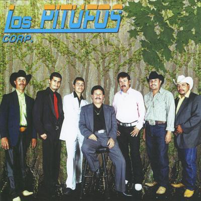 Los Pitufos Corp.'s cover