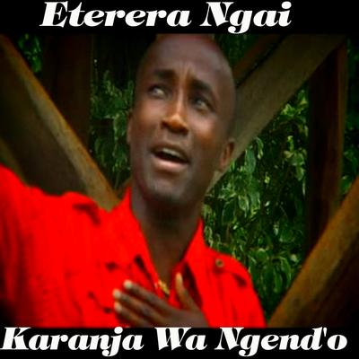 Karanja Wa Ng'endo's cover