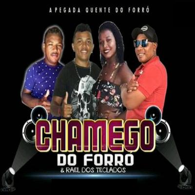 Chamego do Forró's cover