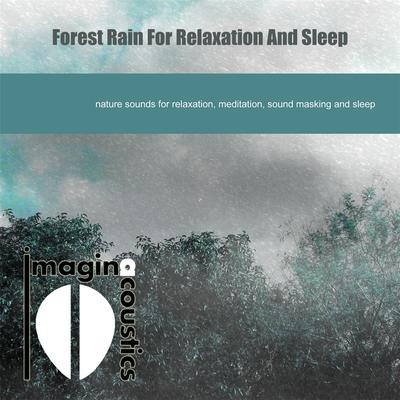 Forest Rain for Relaxation and Sleep By Imaginacoustics's cover