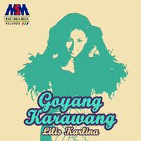 Lilis Karlina's avatar cover