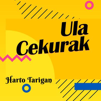 Ula Cekurak's cover