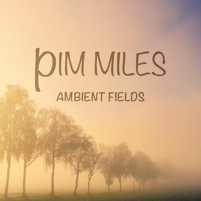 Pim Miles's avatar image