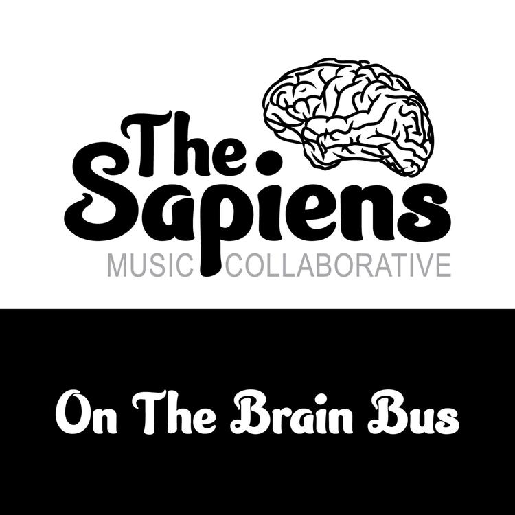 The Sapiens Music Collaborative's avatar image