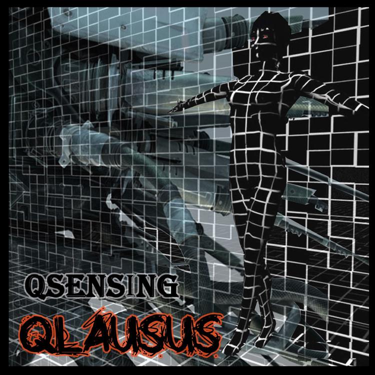 Qsensing's avatar image