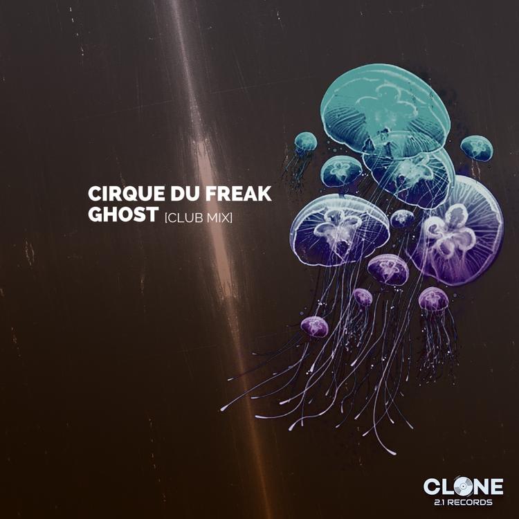 Cirque Du Freak's avatar image
