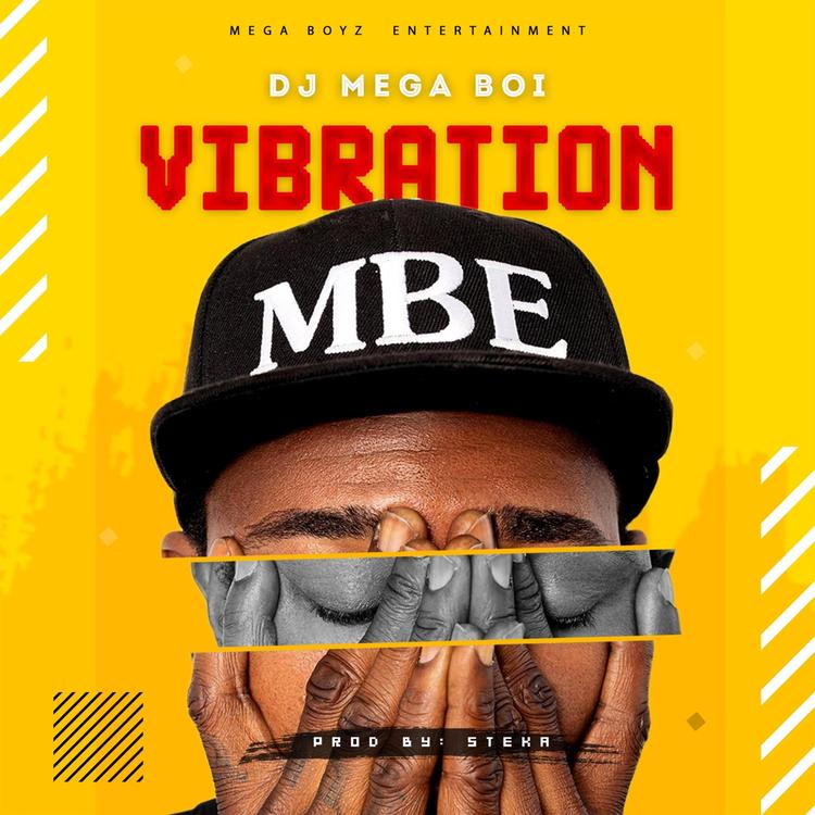 DJ Mega Boi's avatar image