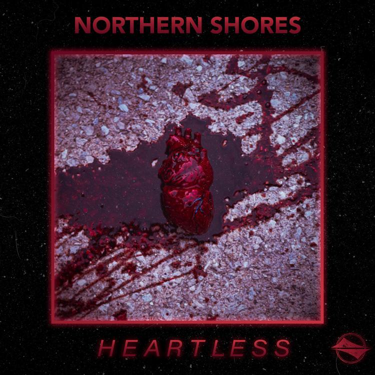 Northern Shores's avatar image