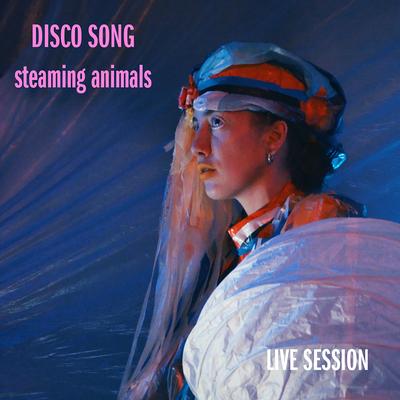 Disco Song (Live Session)'s cover