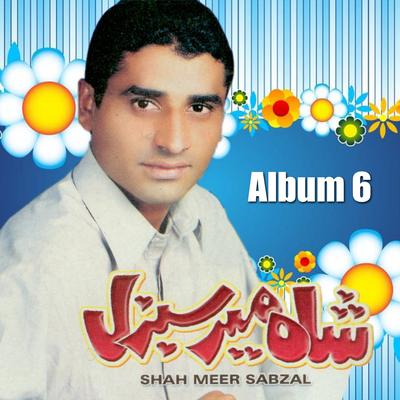 Shah Meer Sabzal - Zemrein Mahekaan, Vol. 6's cover