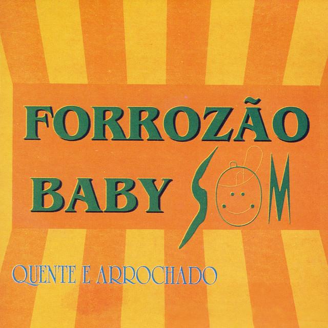 Forrozao Baby Som Vol. 1's avatar image