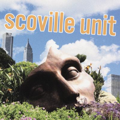 Song Without a Name By Scoville Unit's cover