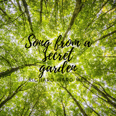 ​Song from a secret garden's cover