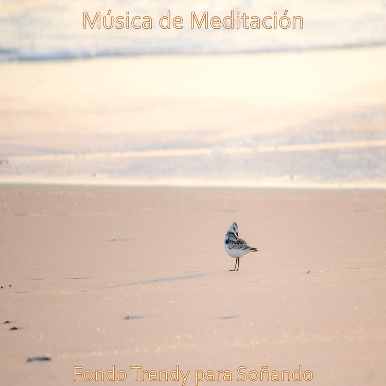 Música de Meditación's avatar image