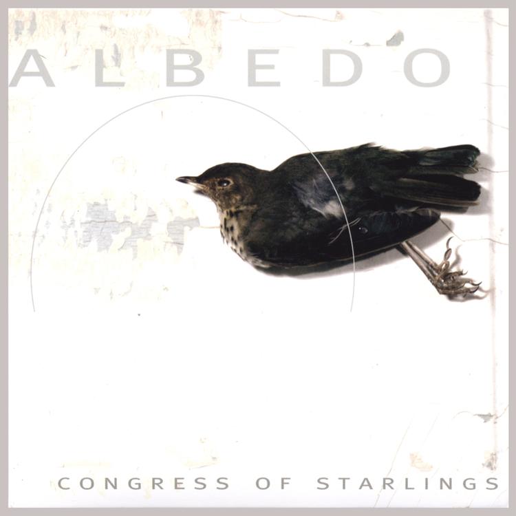 Congress of Starlings's avatar image