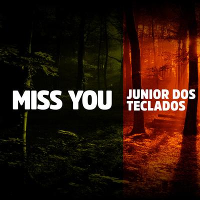 Junior dos Teclados's cover