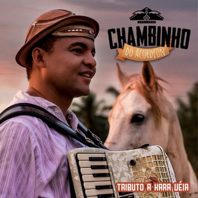 Filho Com Sorte By Chambinho do Acordeon's cover