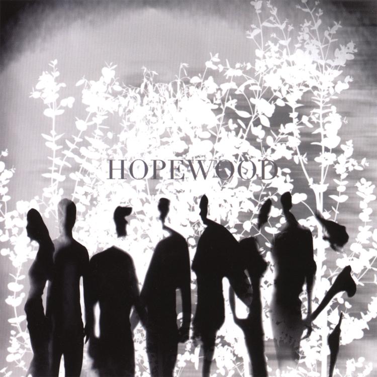 Hopewood's avatar image