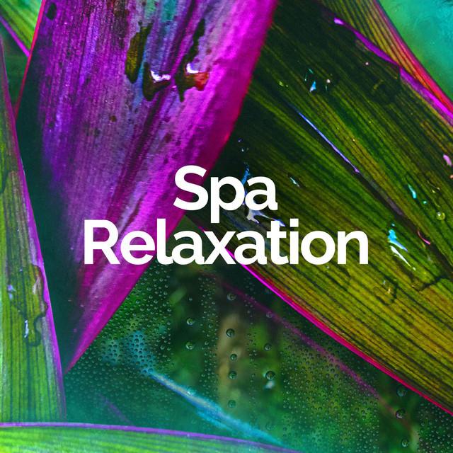 SPA RELAXATION's avatar image