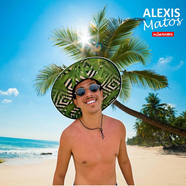 Alexis Matos's avatar image