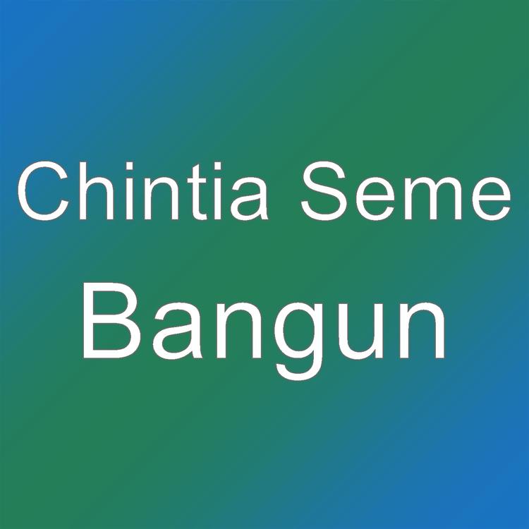 Chintia Seme's avatar image