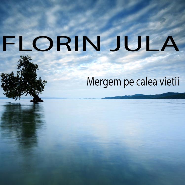 Florin Jula's avatar image