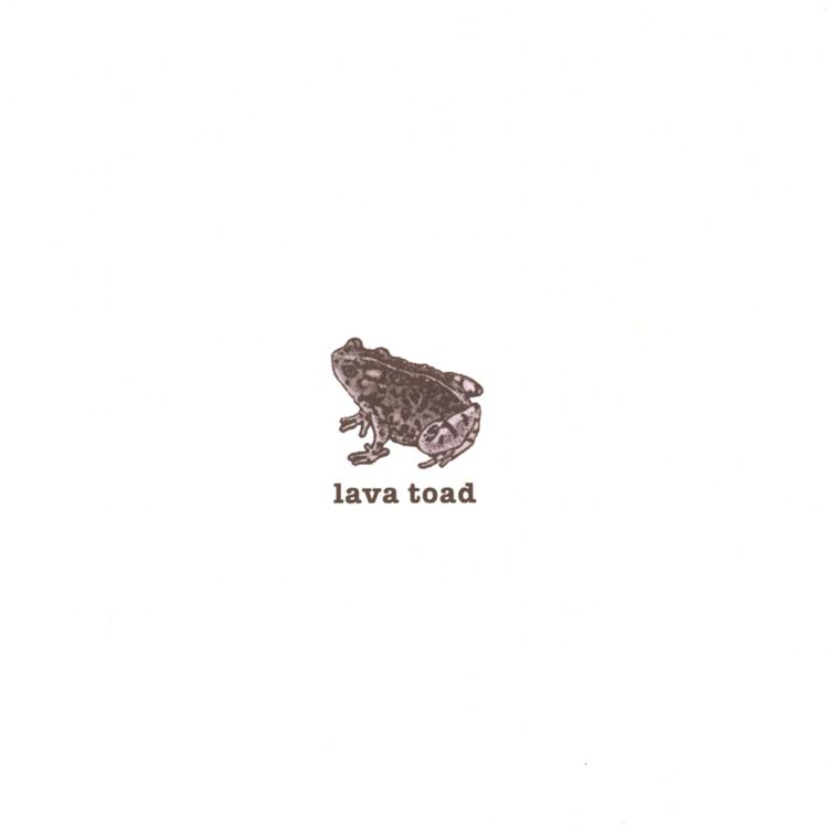 lava toad's avatar image