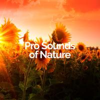 Pro Sounds of Nature's avatar cover