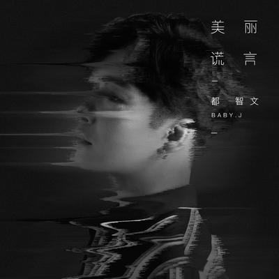 美丽谎言's cover