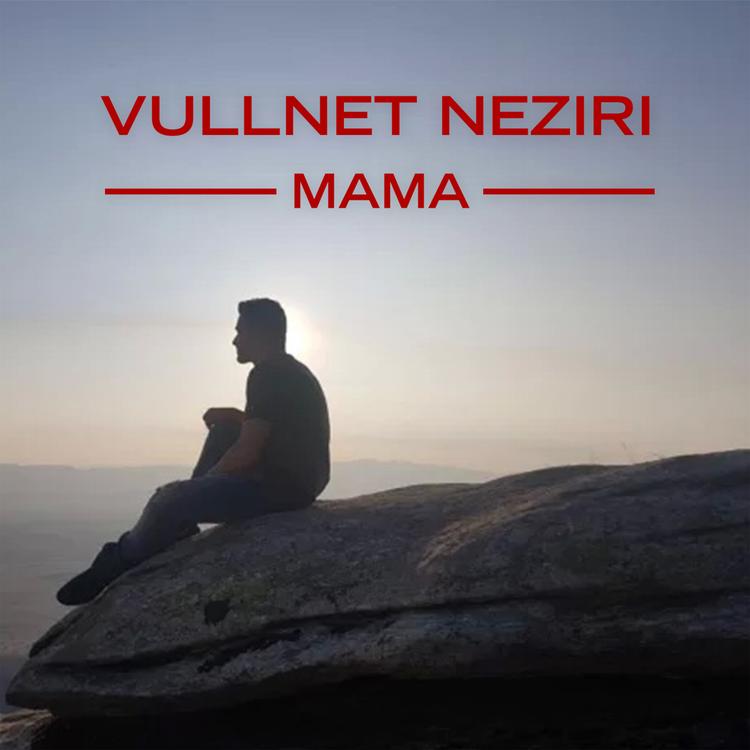 Vullnet Neziri's avatar image