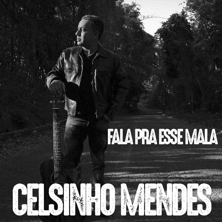 Celsinho Mendes's avatar image