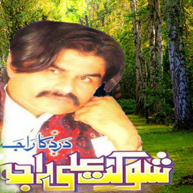 Shoukat Ali Raja's avatar image