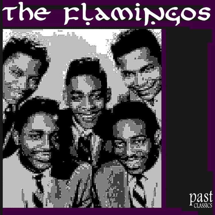 The Flamingoes's avatar image
